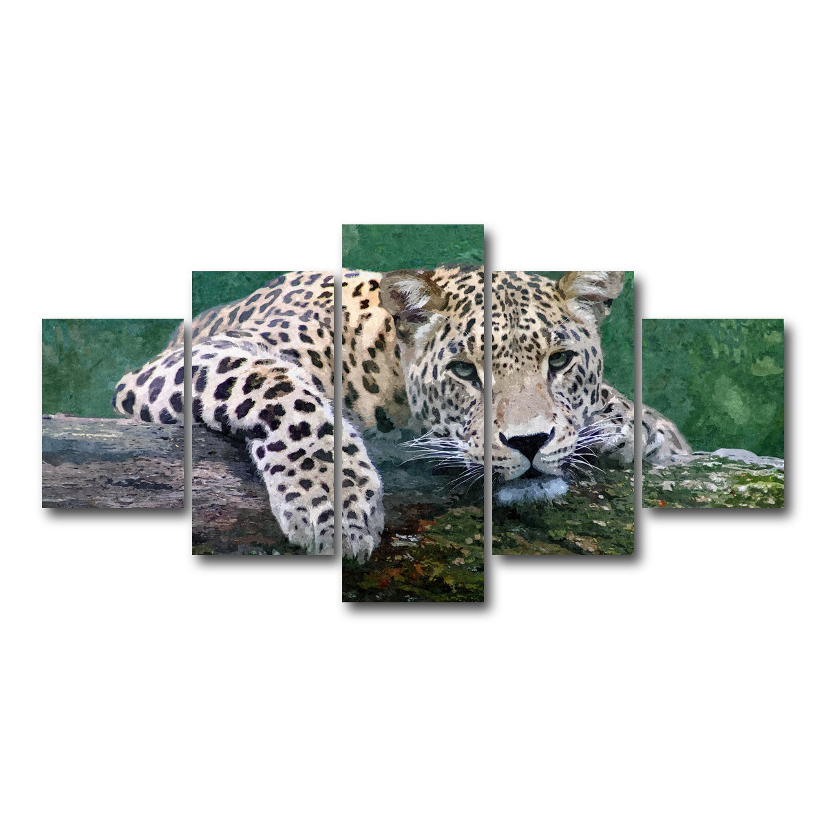 AUTO-MOCKUP WHITE | snow leopard | 5 Piece | Gallery Wrap Canvas | group=5_short