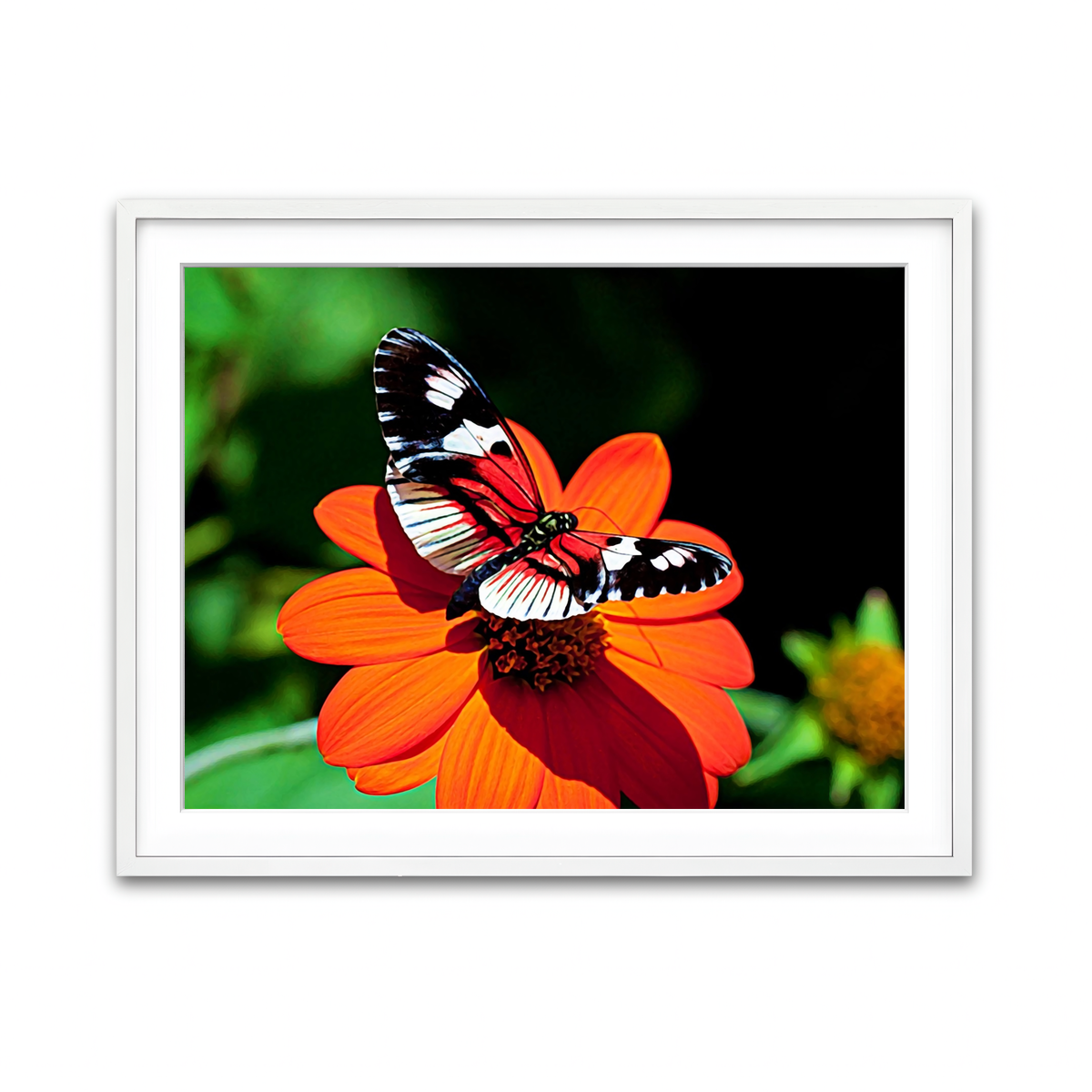 Framed Print 4x3 White