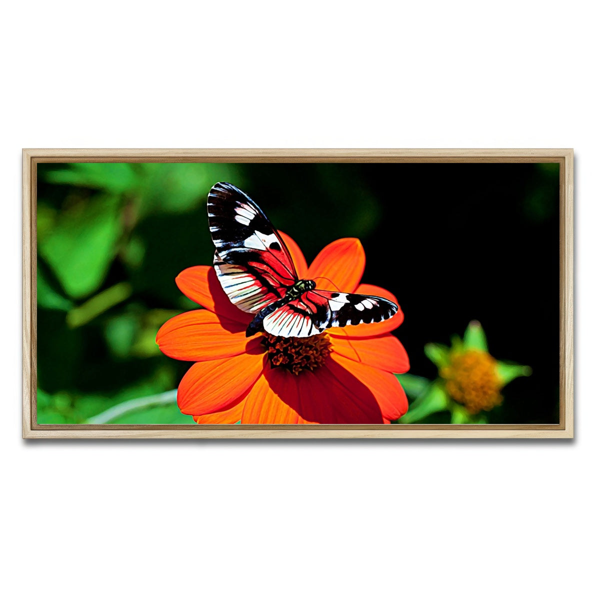 AUTO-MOCKUP WHITE | vibrant butterfly | 1 Piece | Natural Framed Canvas | group=2x1