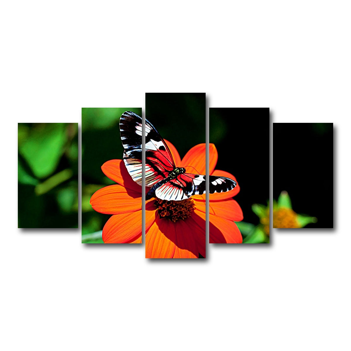 AUTO-MOCKUP WHITE | vibrant butterfly | 5 Piece | Gallery Wrap Canvas | group=5_normal