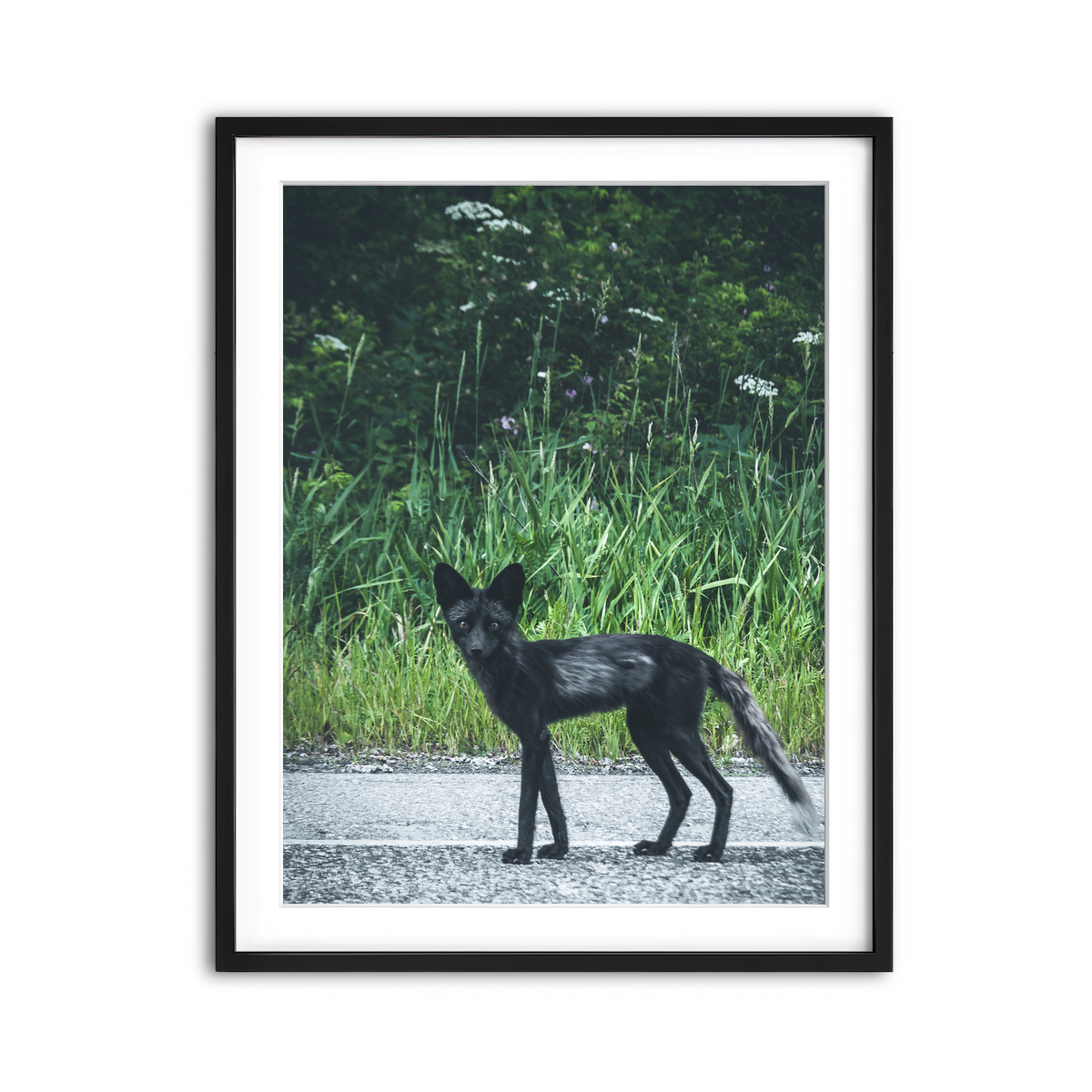 Framed Print 3x4 Black