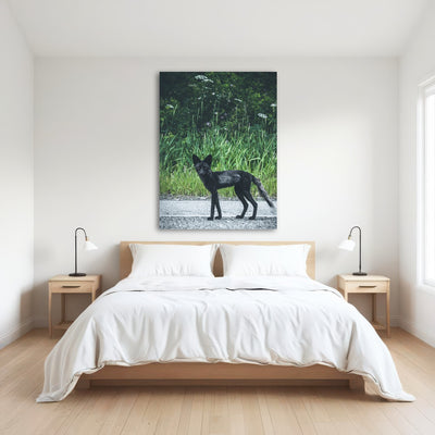 AUTO-MOCKUP ROOM | wildlife northern bc