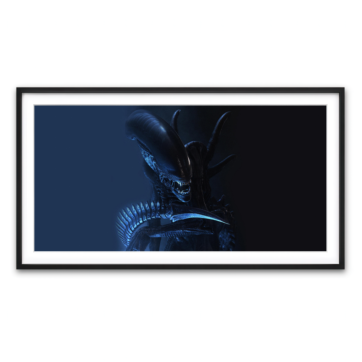 Framed Print 2x1 Black