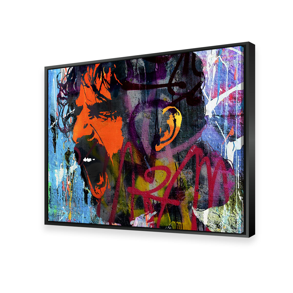 Zappa Wall Art