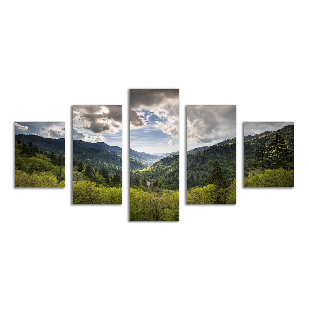 Great Smoky Mountains National Park Wall Art
