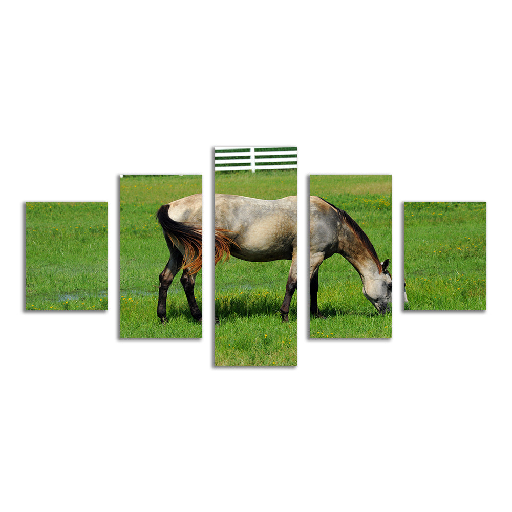 Arkansas Horse Grazing Wall Art