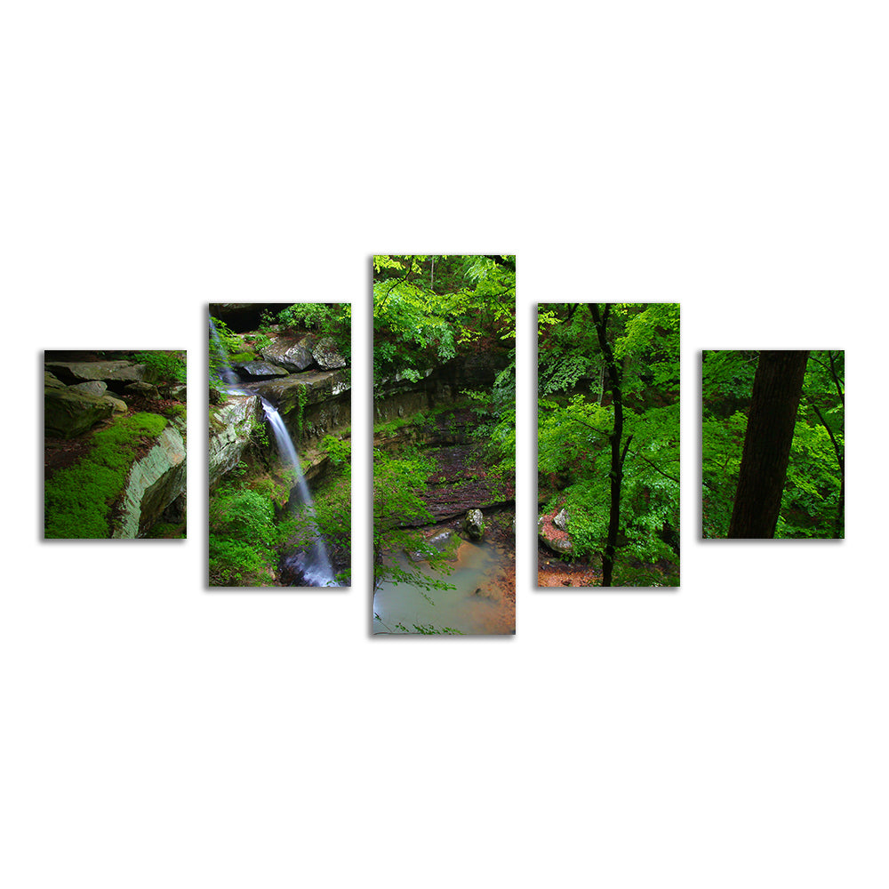 Bankhead National Forest Wall Art