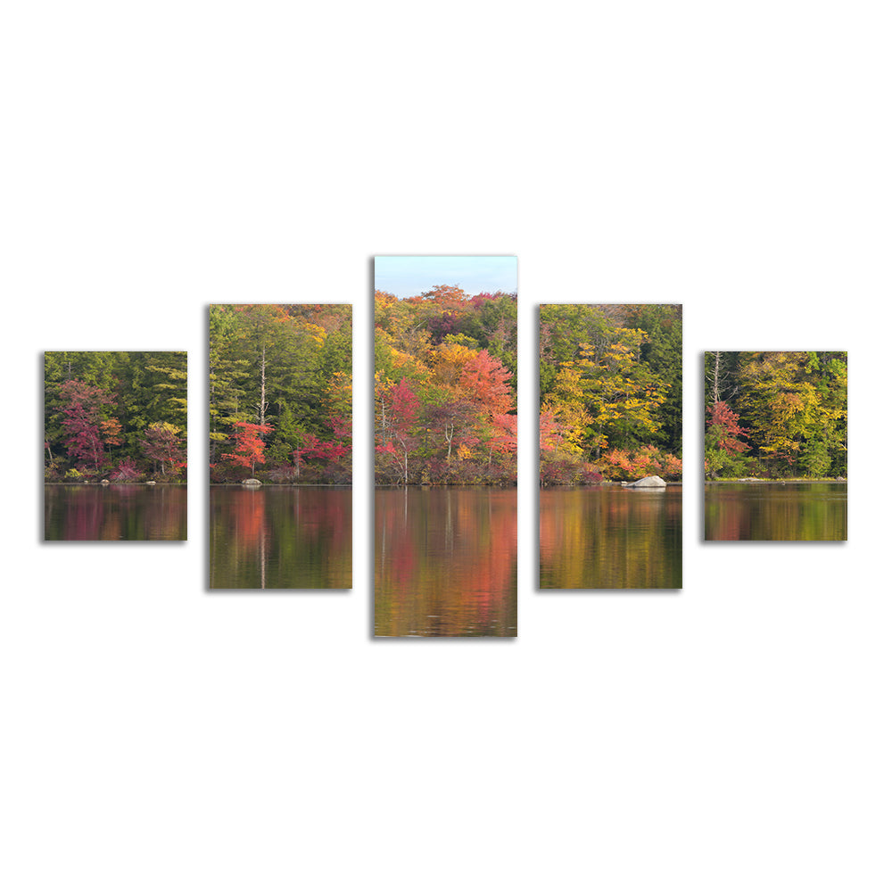 Burr Pond State Park Wall Art