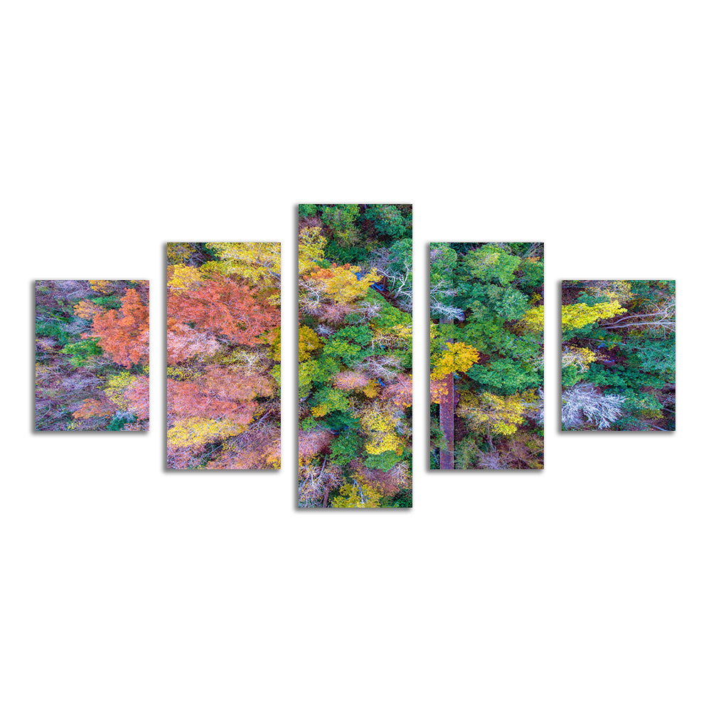 Bayfront Park Nature Boardwalk From Above Wall Art