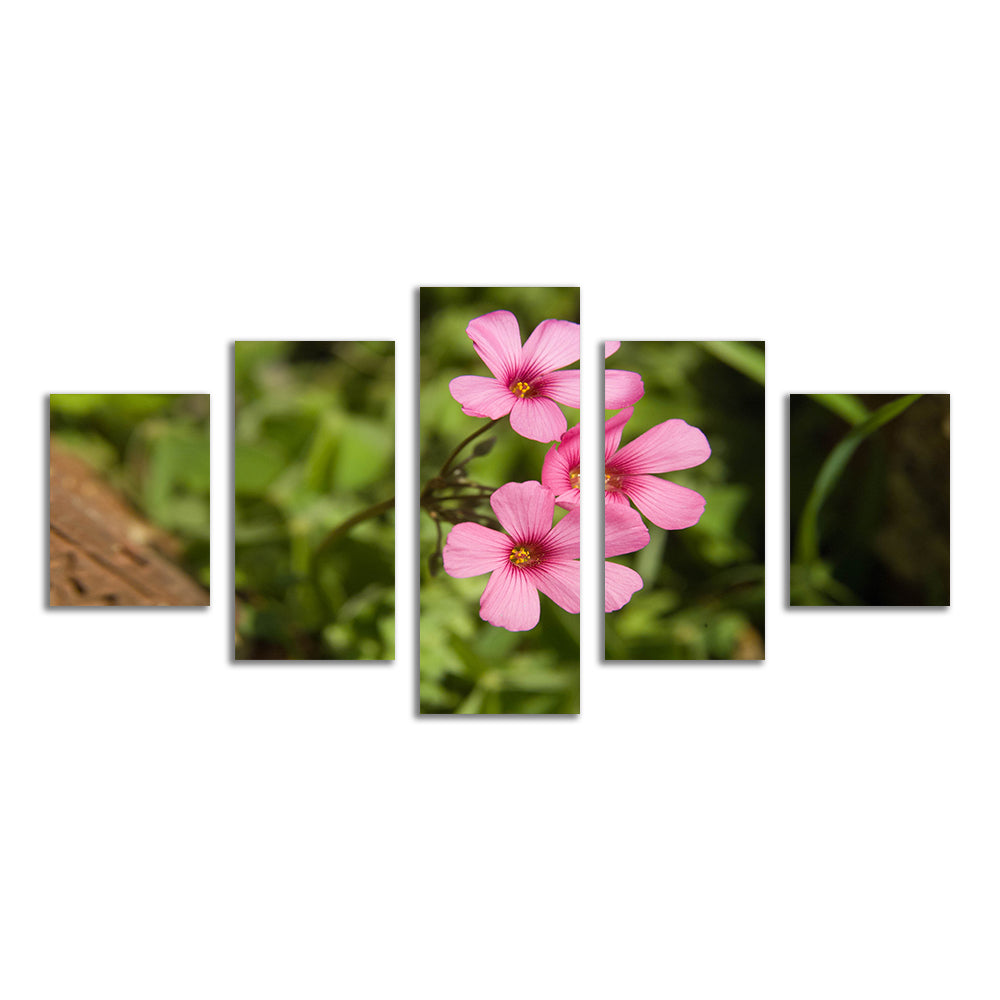 Purple Wildflower - North Arkansas Wall Art
