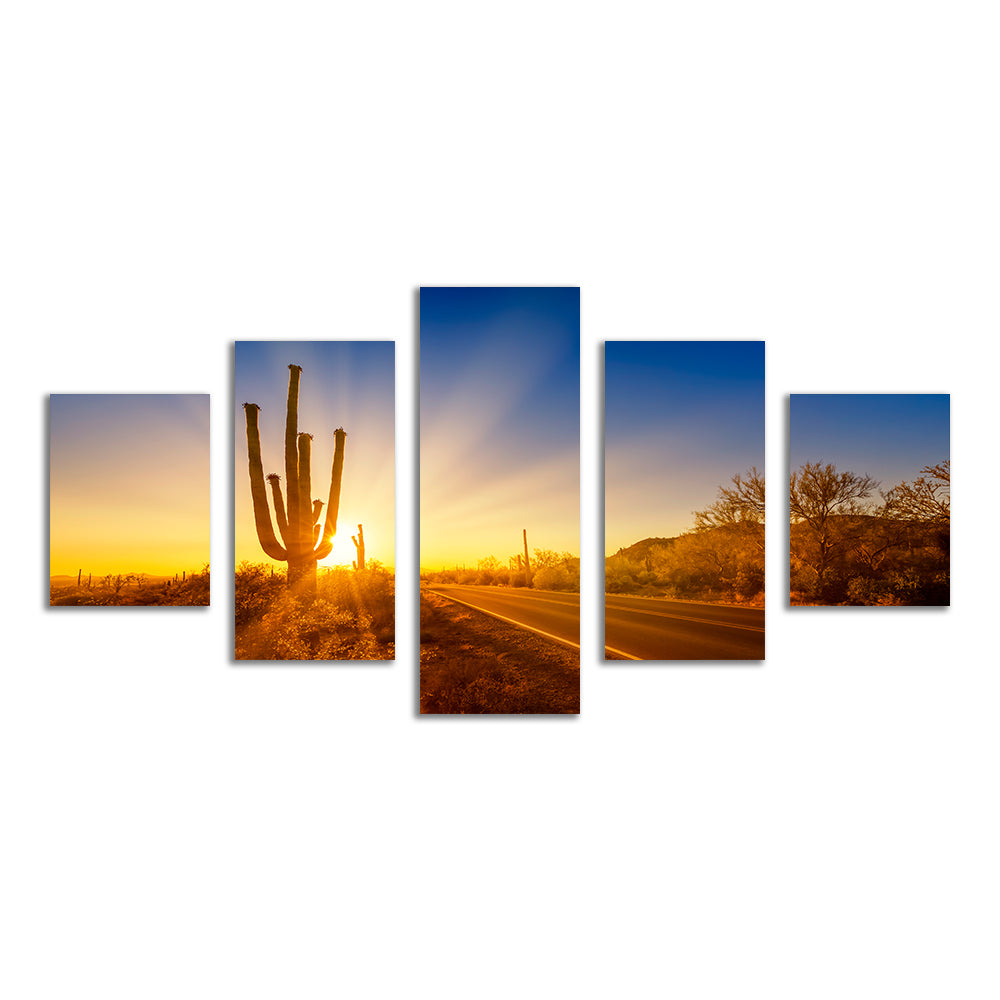 Saguaro National Park Setting Sun Wall Art