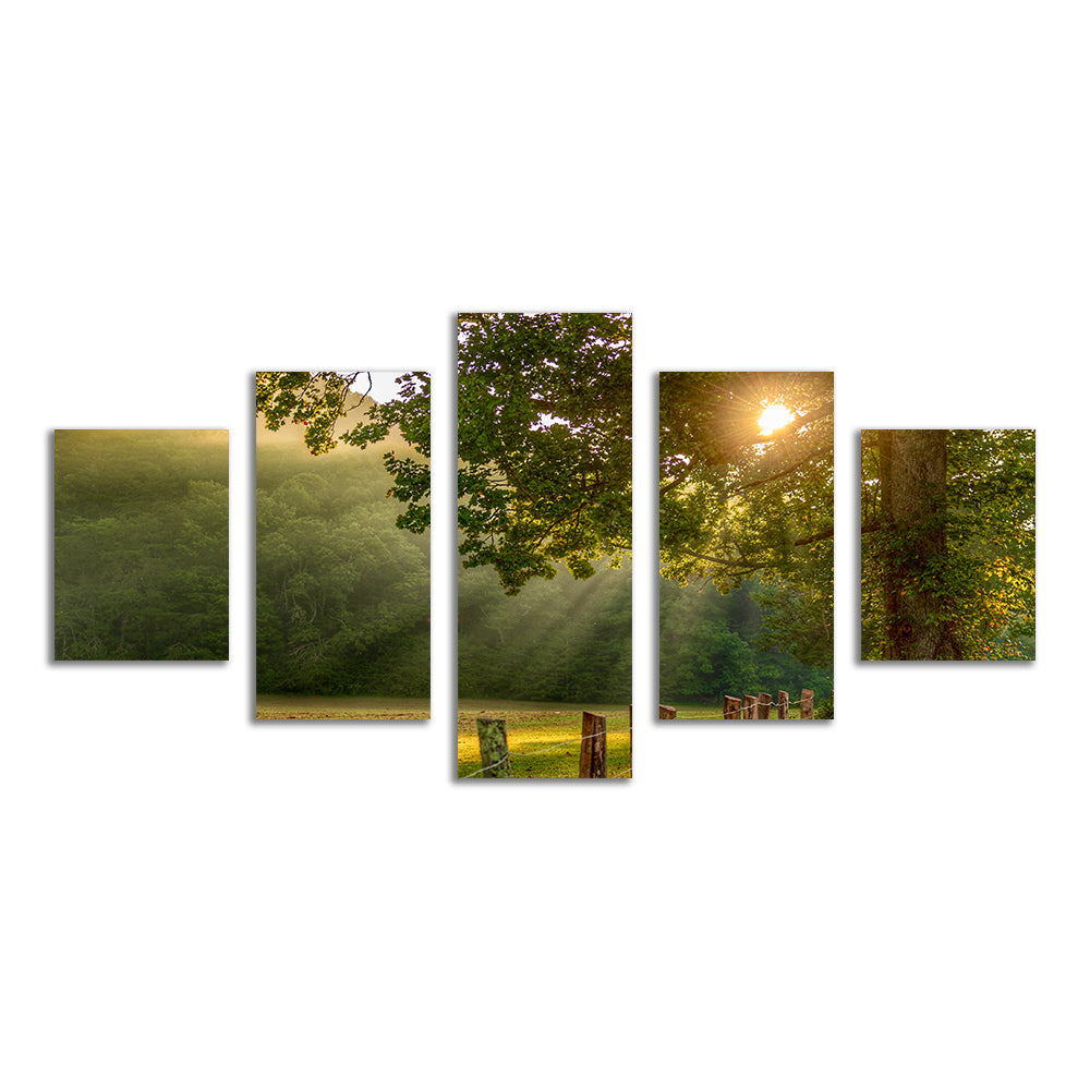 Cades Cove Wall Art