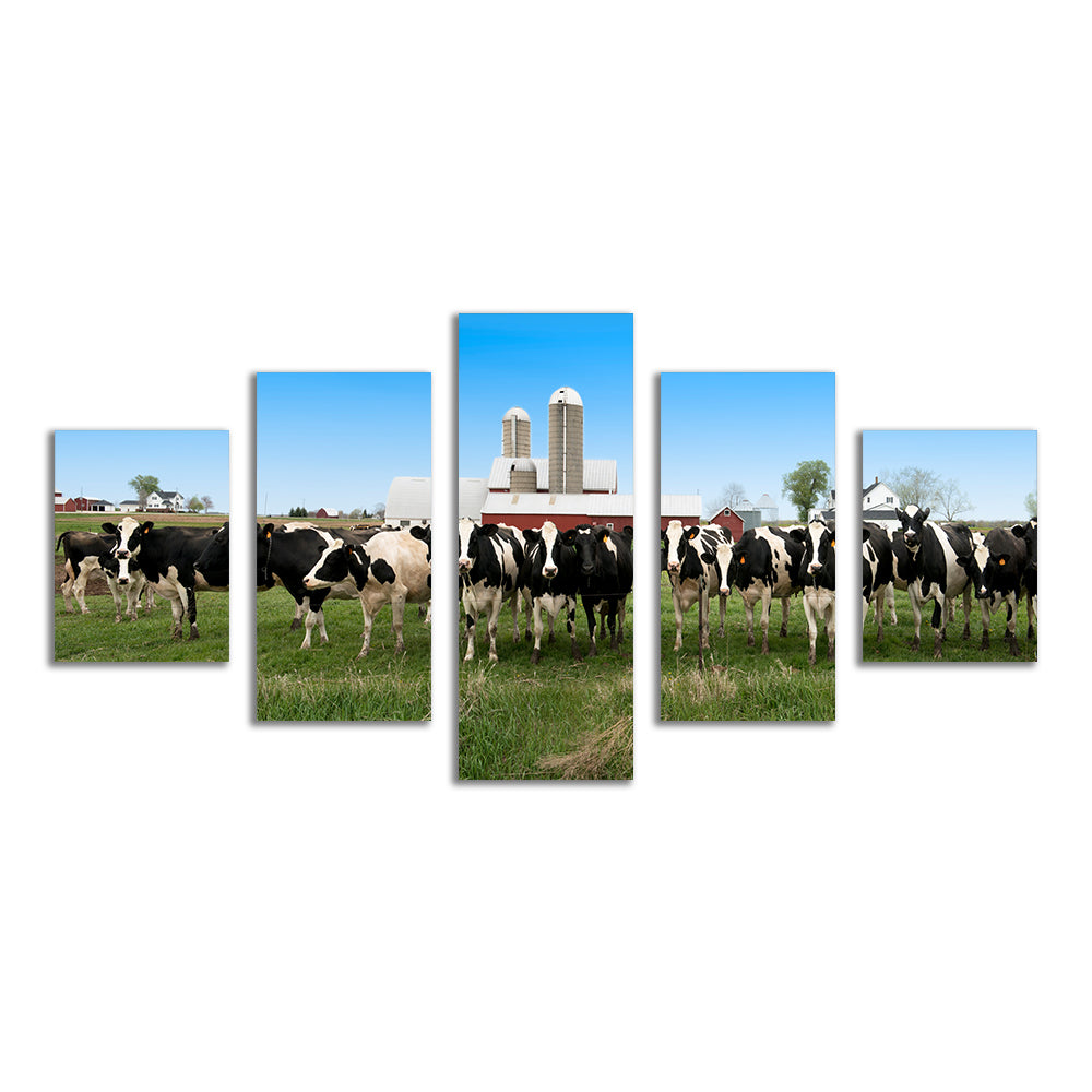 Wisconsin Dairy Cows Wall Art