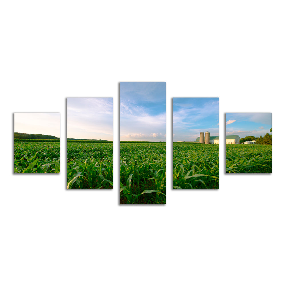 Wisconsin Dairy Farm By Field Of Corn Wall Art
