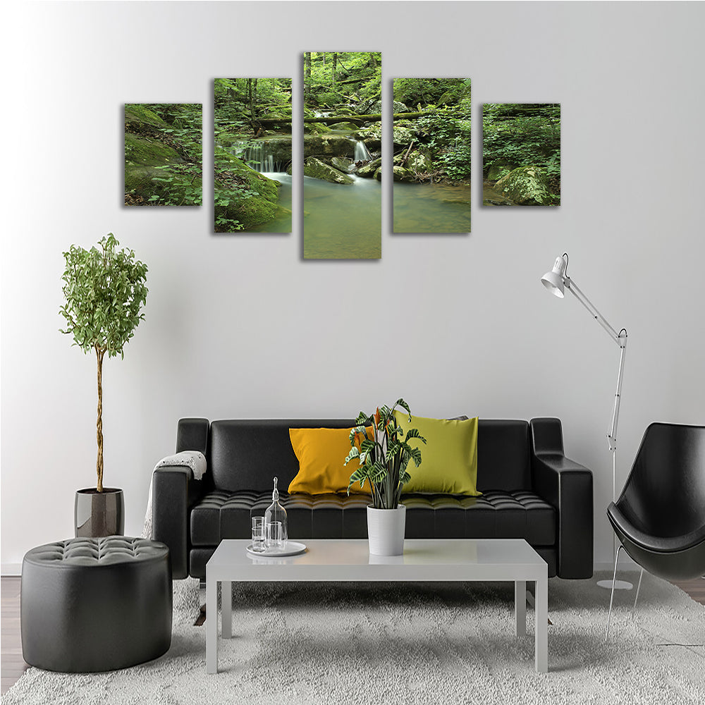 Ozark National Forest Wall Art