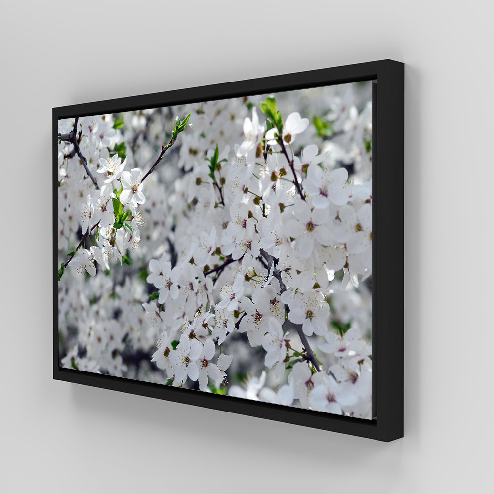 Apple Tree Blossoms Wall Art