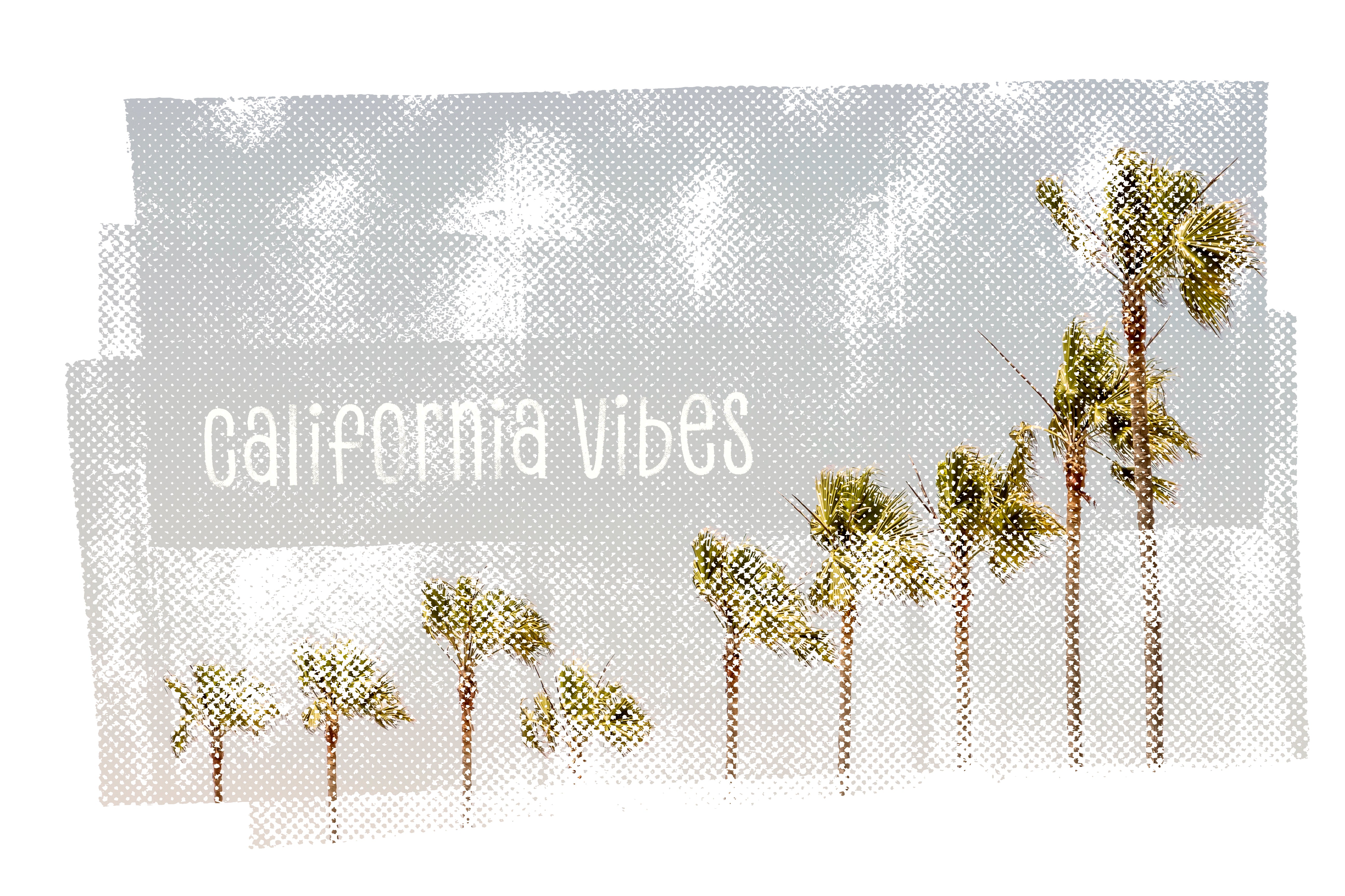 California Vibes Vintage
