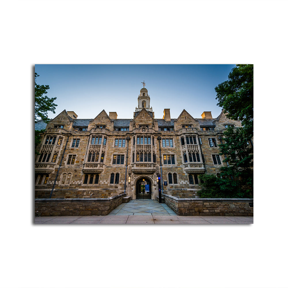 The Davenport College Building Wall Art