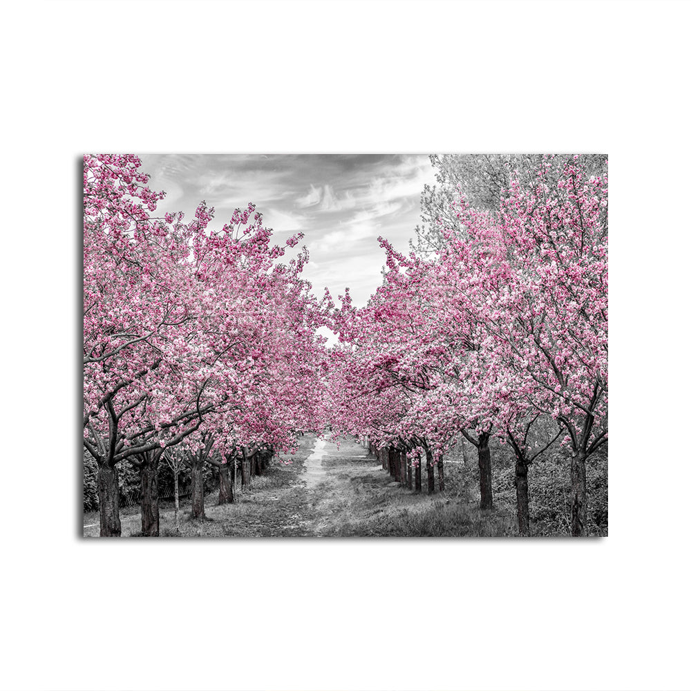 Charming Cherry Blossom Alley Wall Art