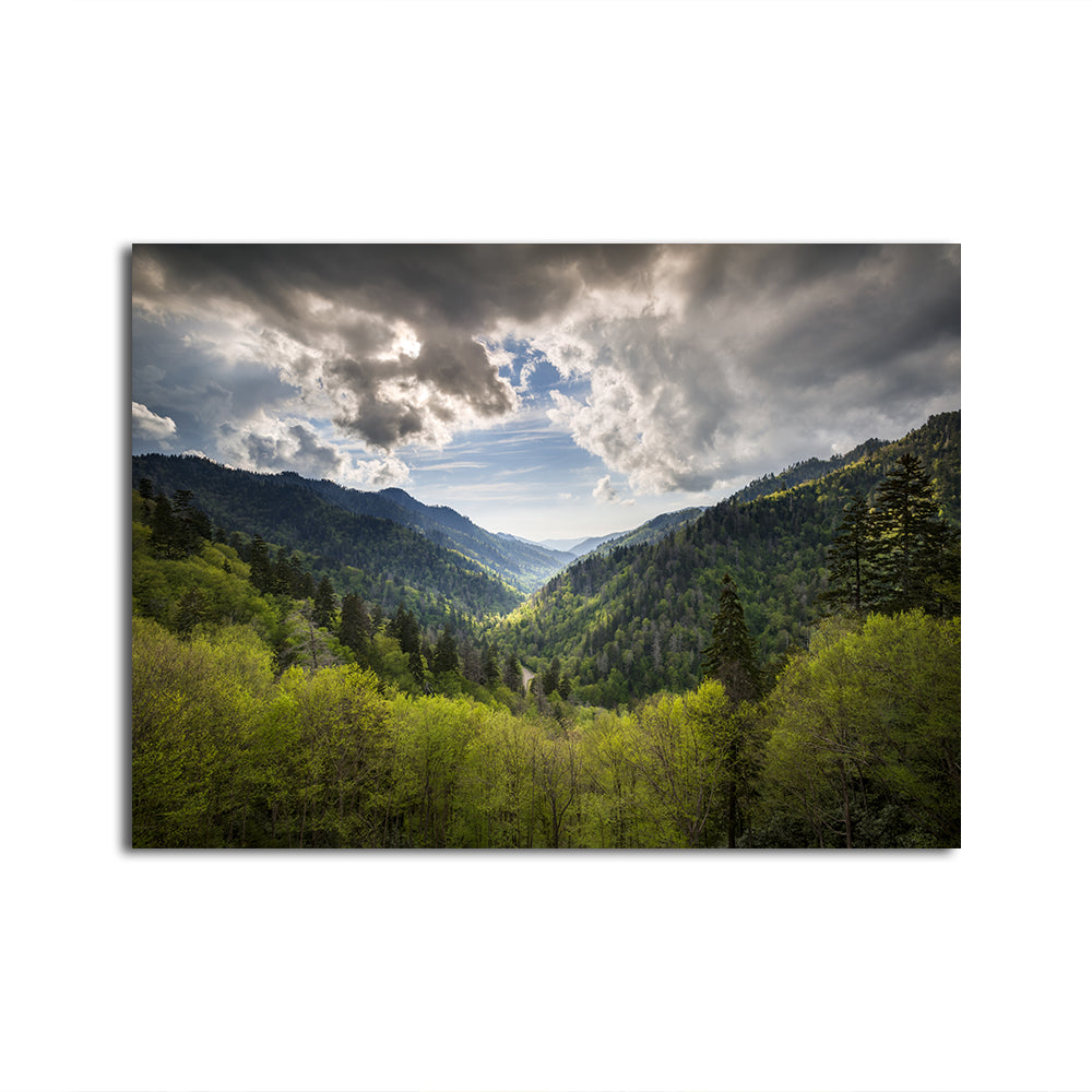 Great Smoky Mountains National Park Wall Art