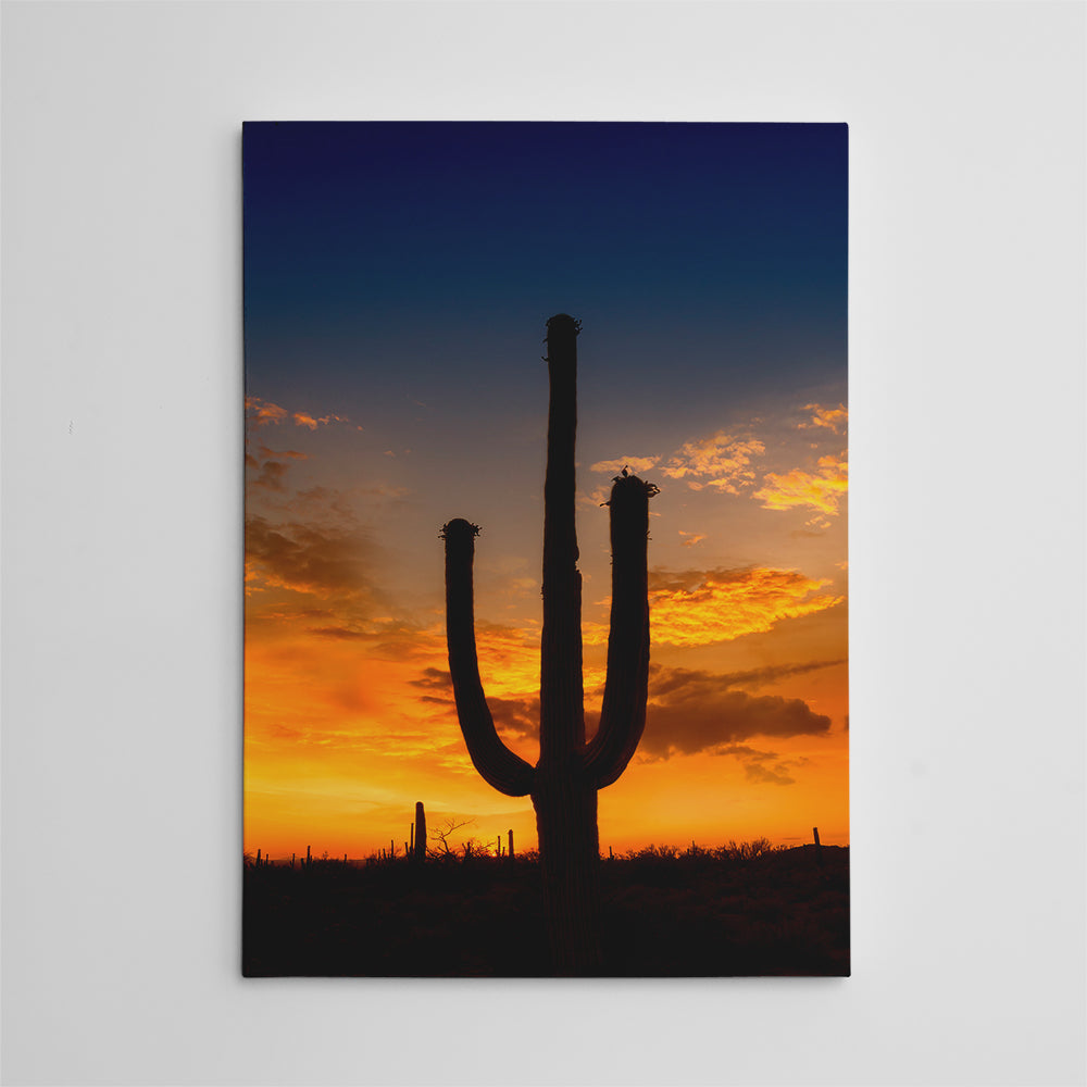Saguaro National Park Sunset Wall Art