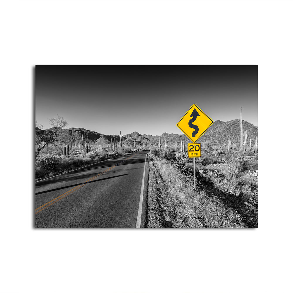 Saguaro National Park Bajada Loop Drive Wall Art