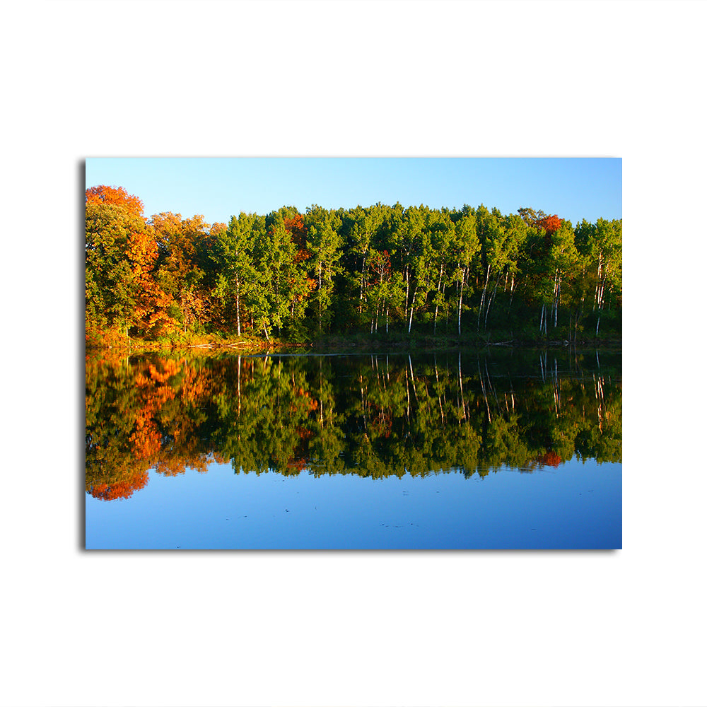 Kettle Moraine State Forest Wall Art