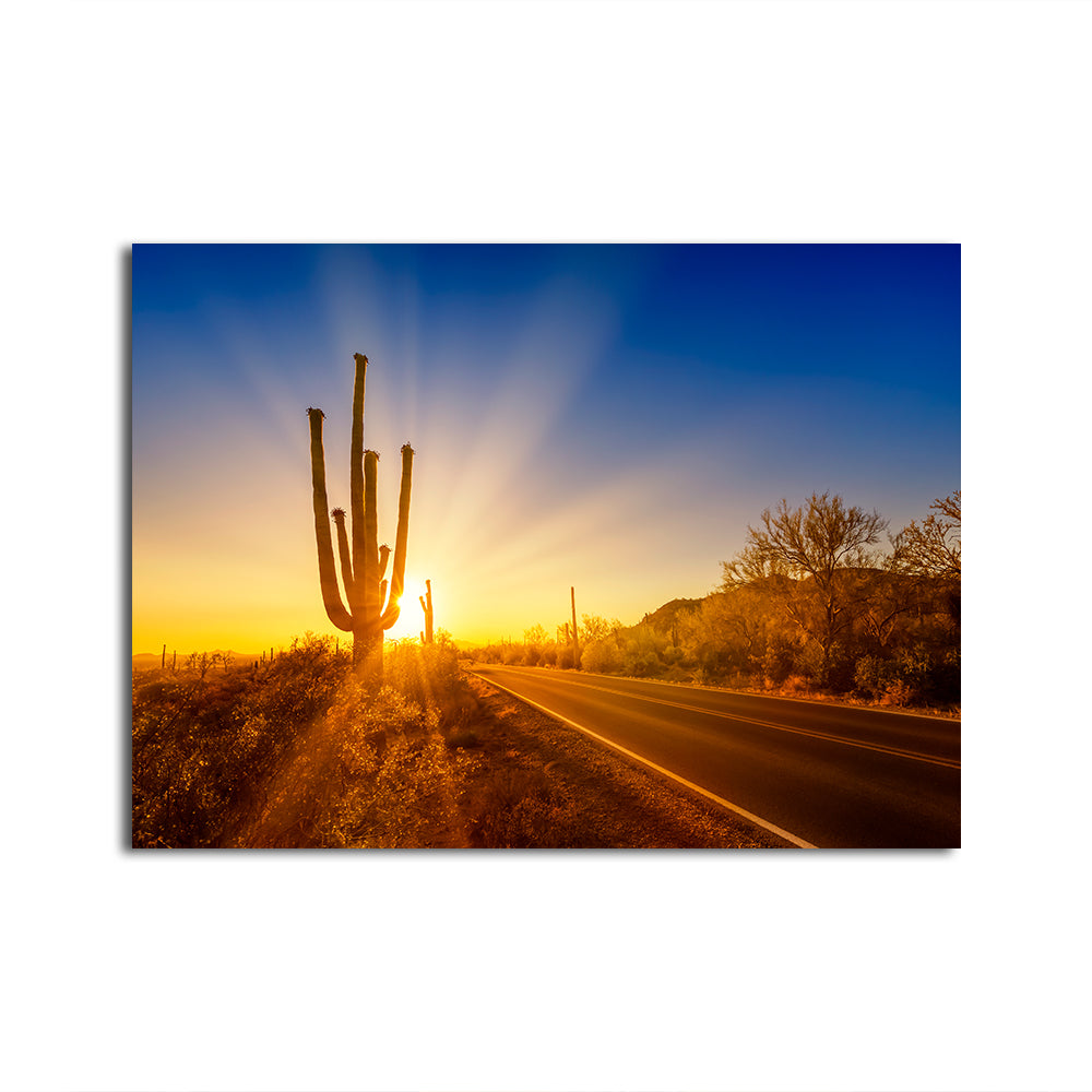 Saguaro National Park Setting Sun Wall Art