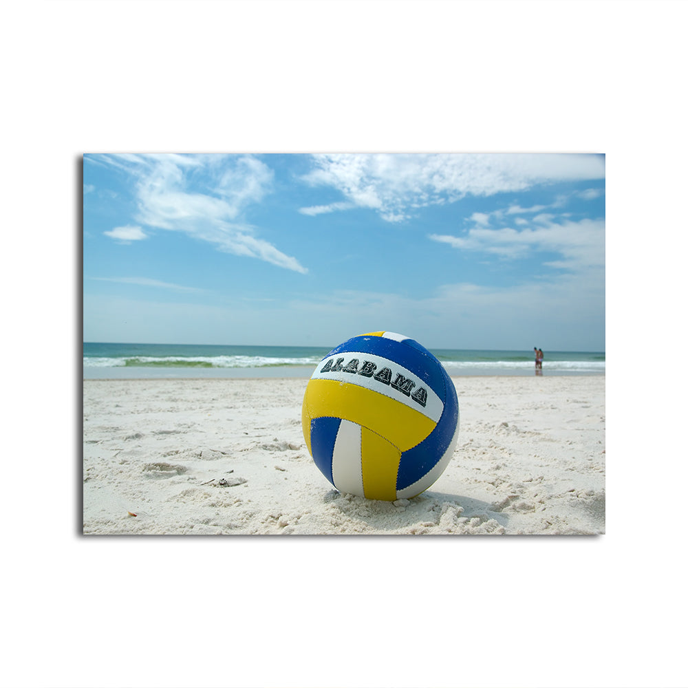 Volleyball on the Beach at Gulf State Park Wall Art