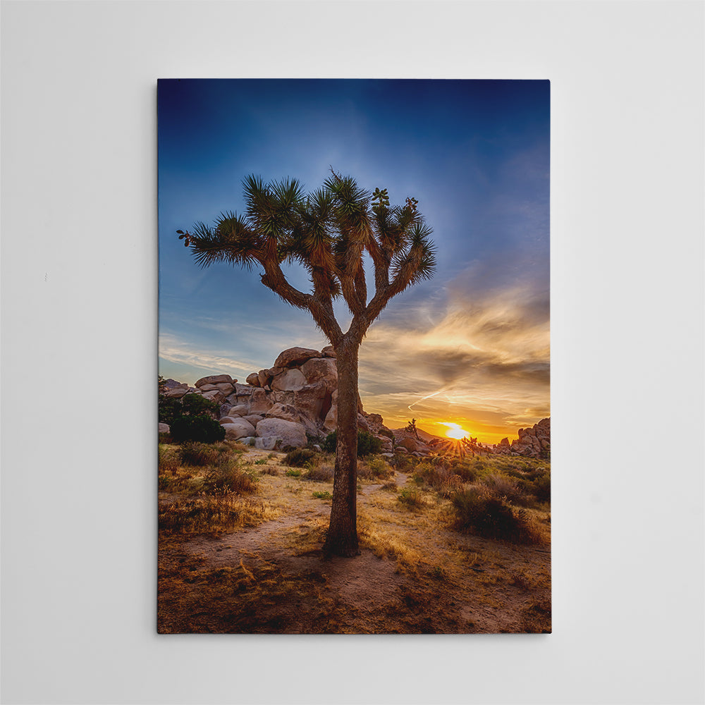 Joshua Tree National Park Wall Art