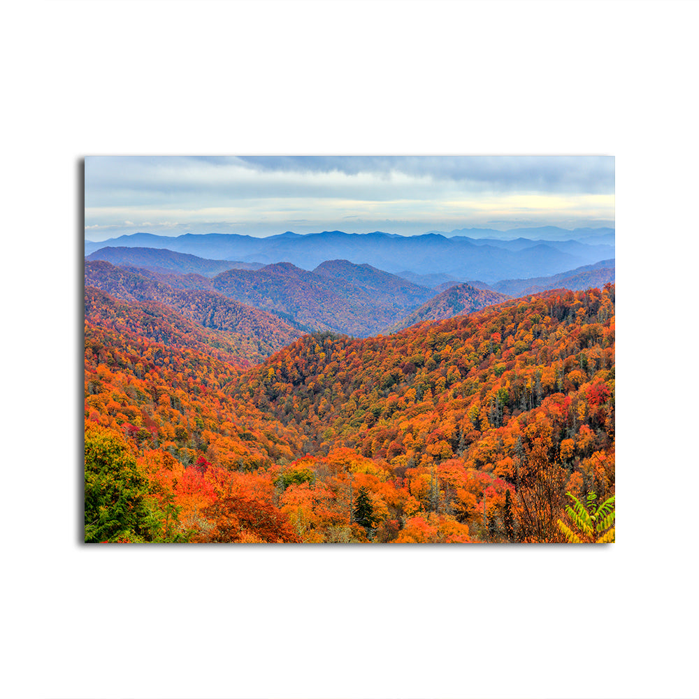 Great Smoky Mountains Autumn