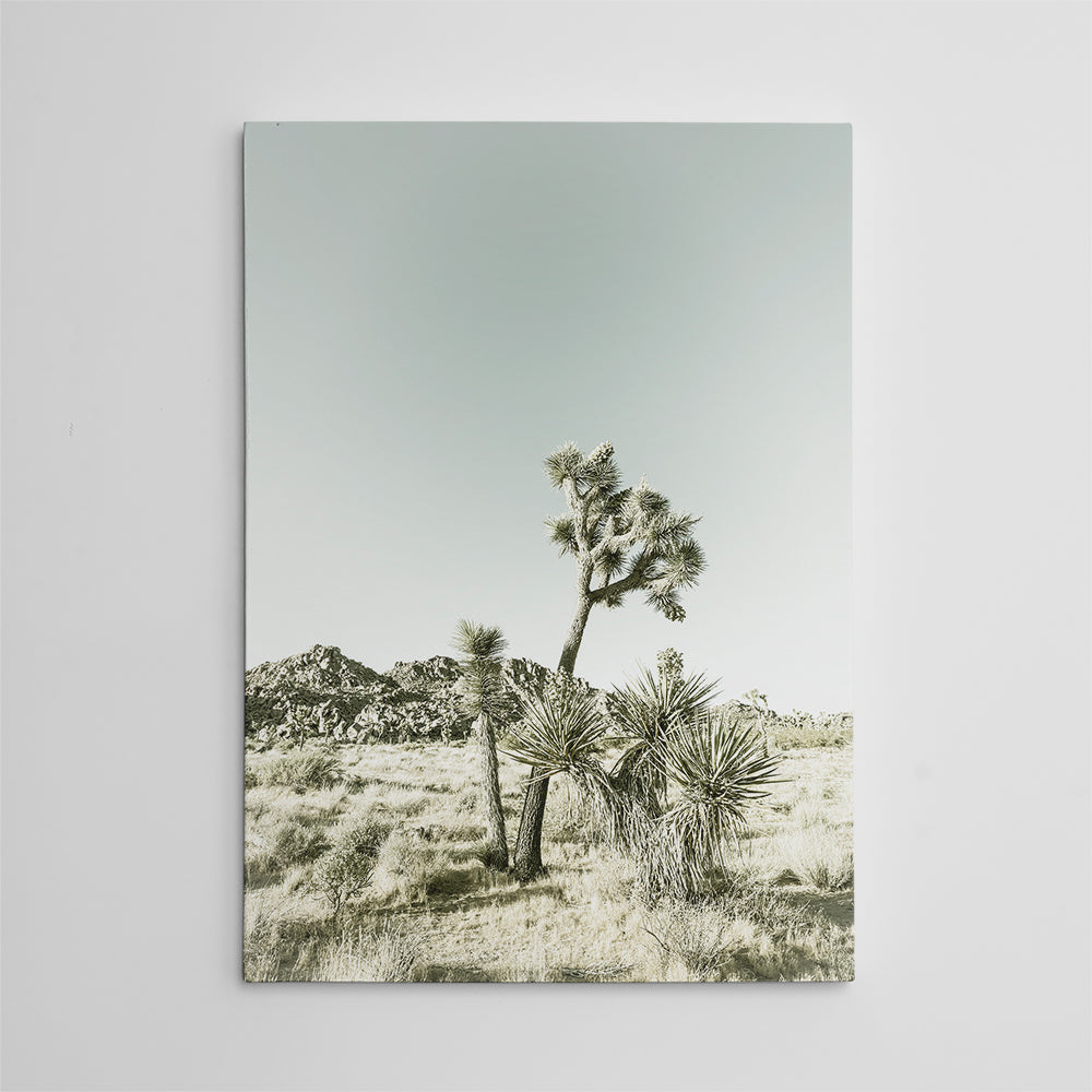 Joshua Tree National Park Vintage Wall Art