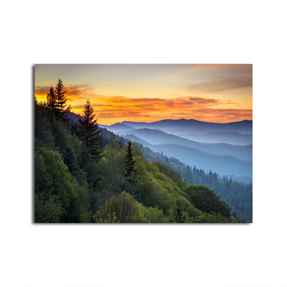 Great Smoky Mountains Wall Art