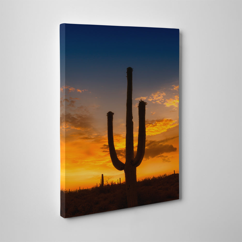 Saguaro National Park Sunset Wall Art