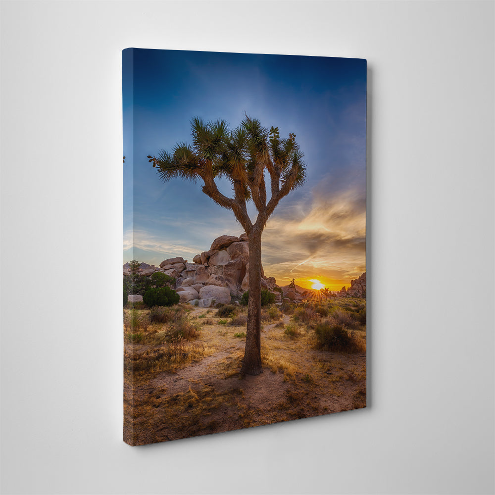 Joshua Tree National Park Wall Art
