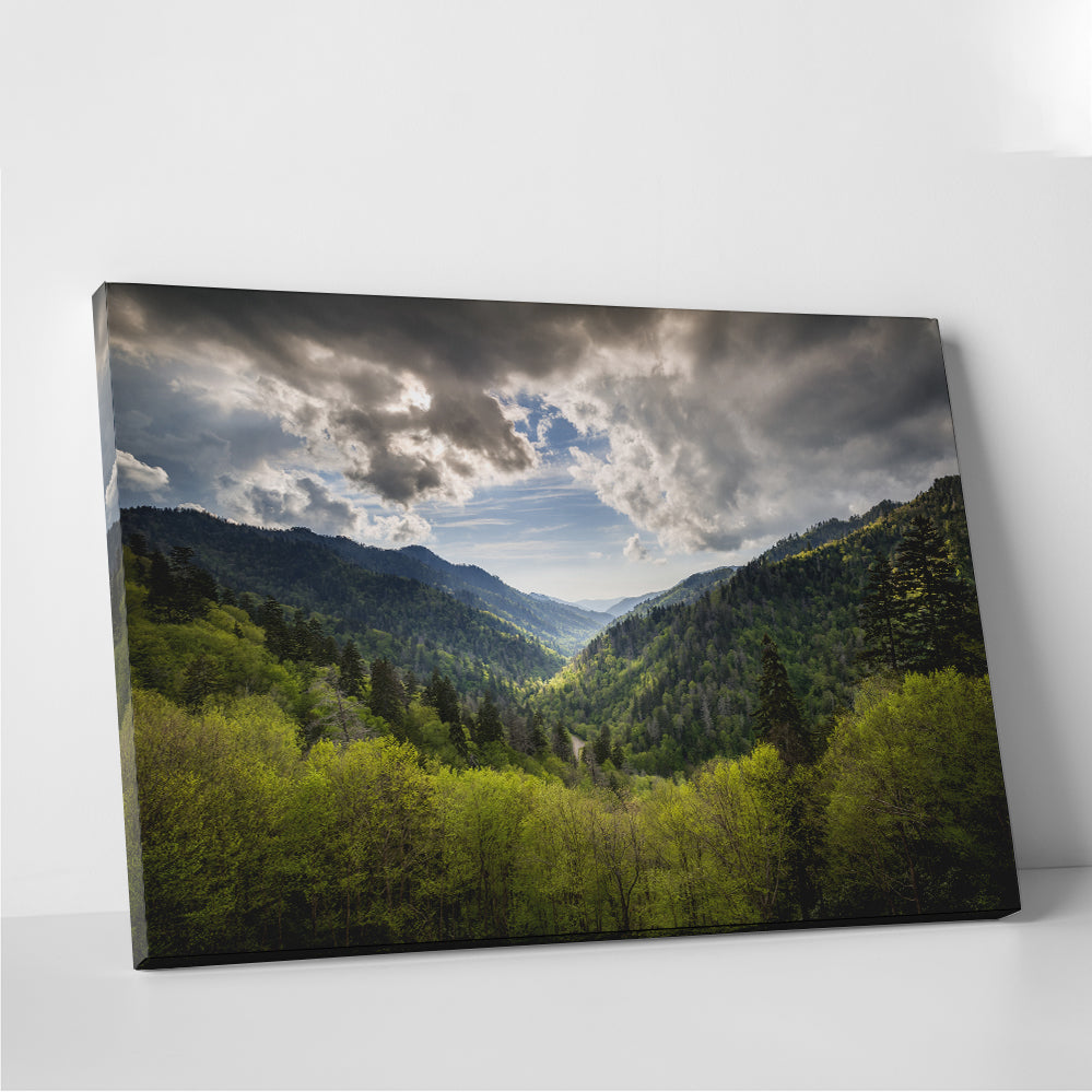 Great Smoky Mountains National Park Wall Art