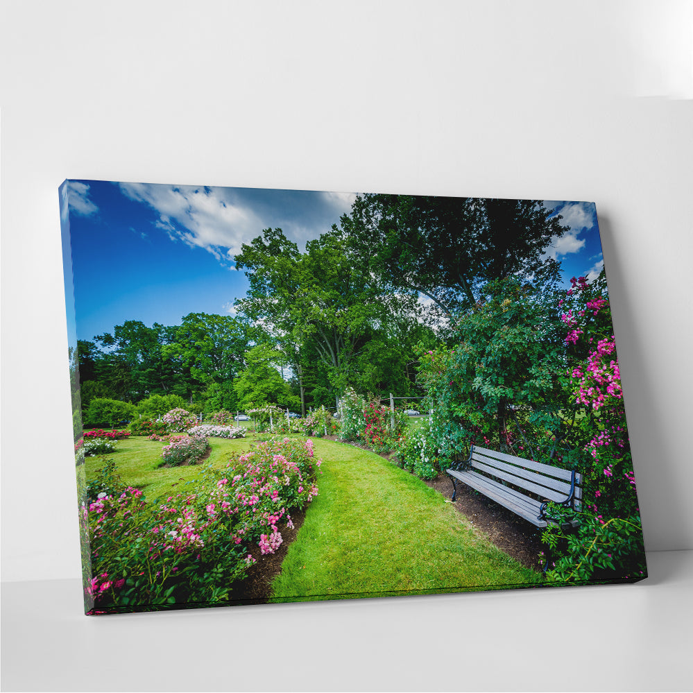 Elizabeth Park Wall Art