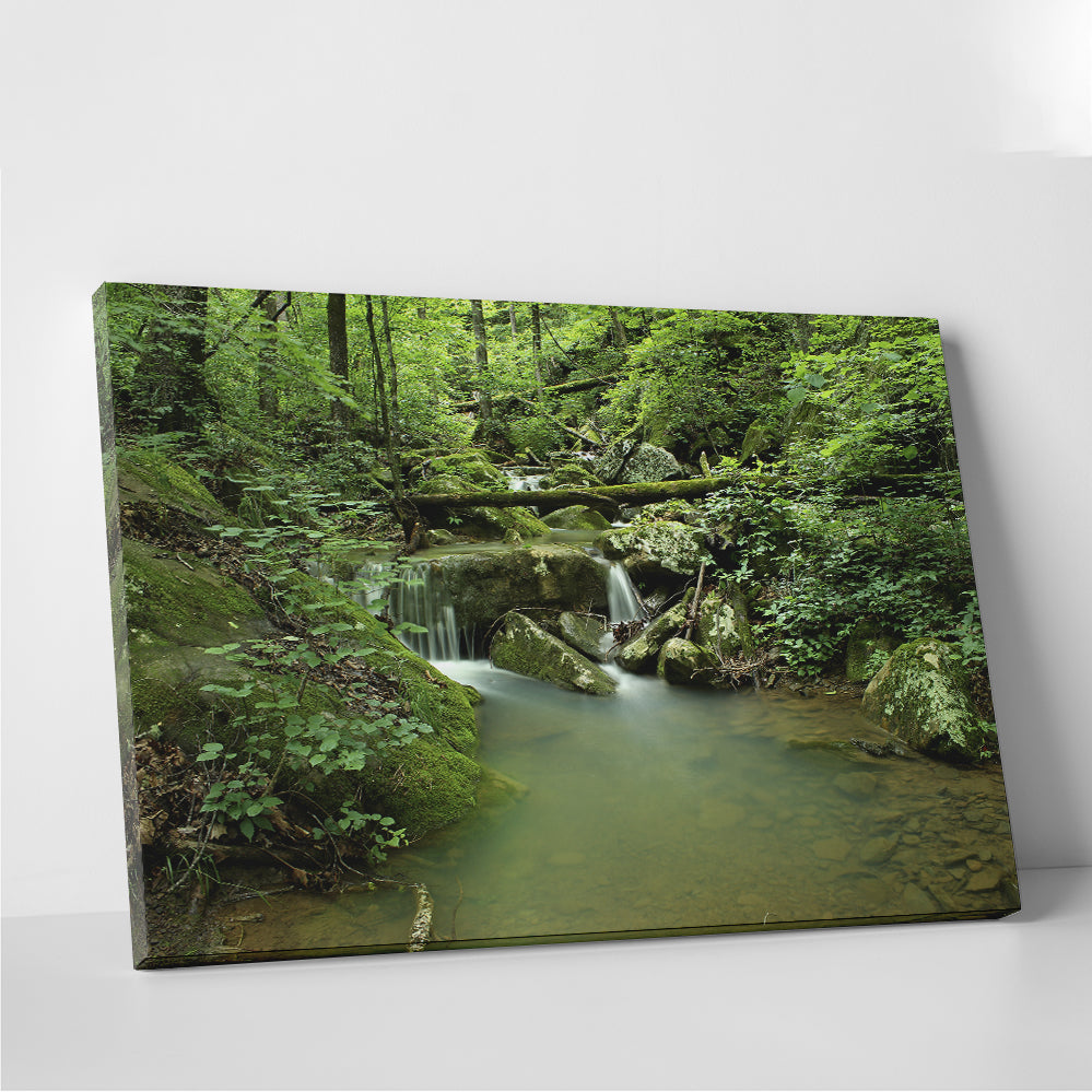 Ozark National Forest Wall Art
