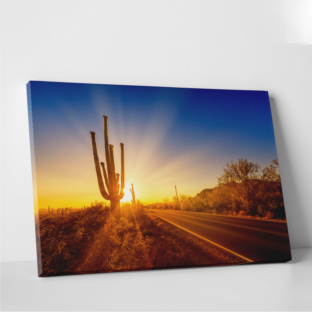 Saguaro National Park Setting Sun Wall Art