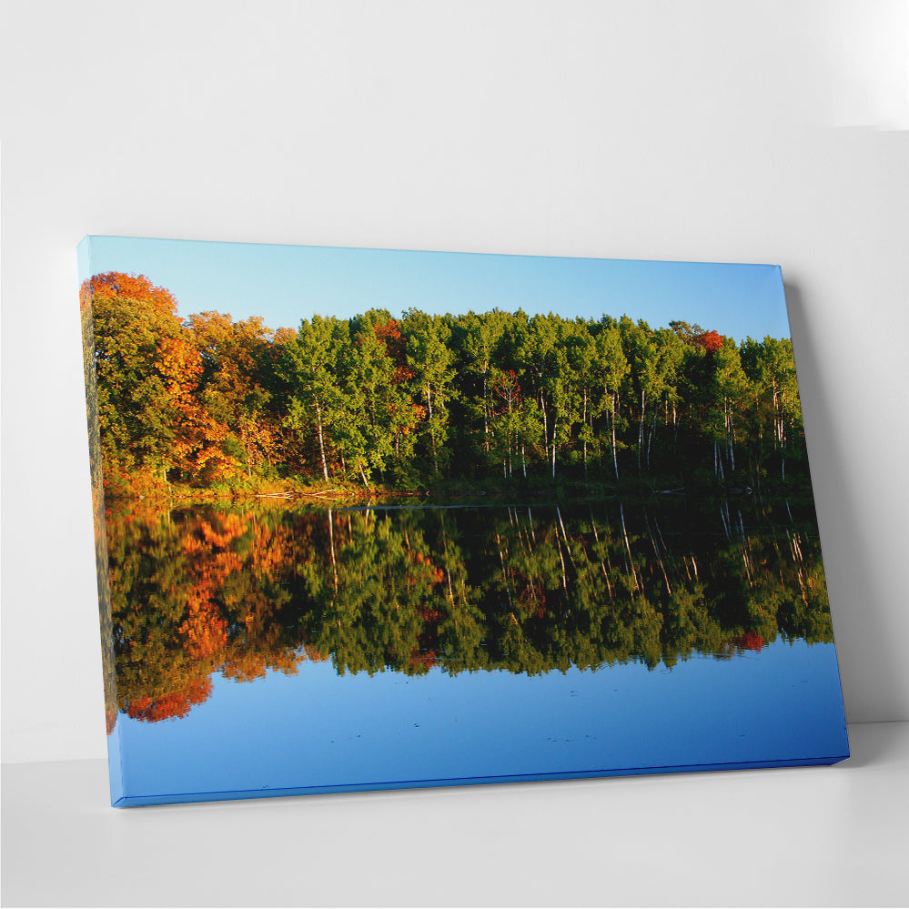 Kettle Moraine State Forest Wall Art