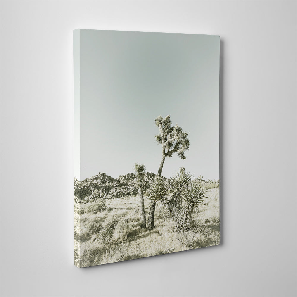 Joshua Tree National Park Vintage Wall Art
