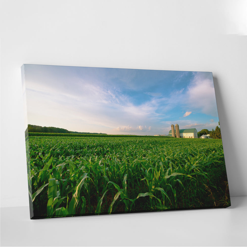 Wisconsin Dairy Farm By Field Of Corn Wall Art