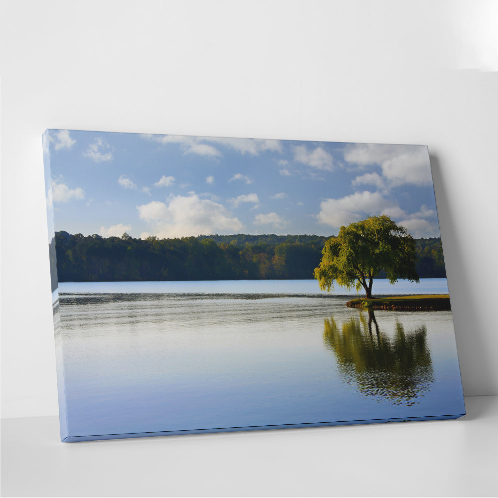 Willow Tree On The Tennessee River Wall Art