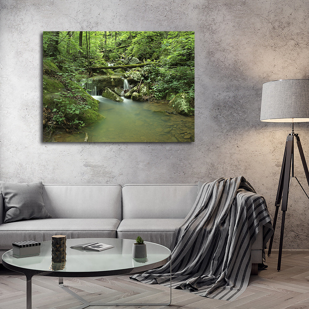 Ozark National Forest Wall Art