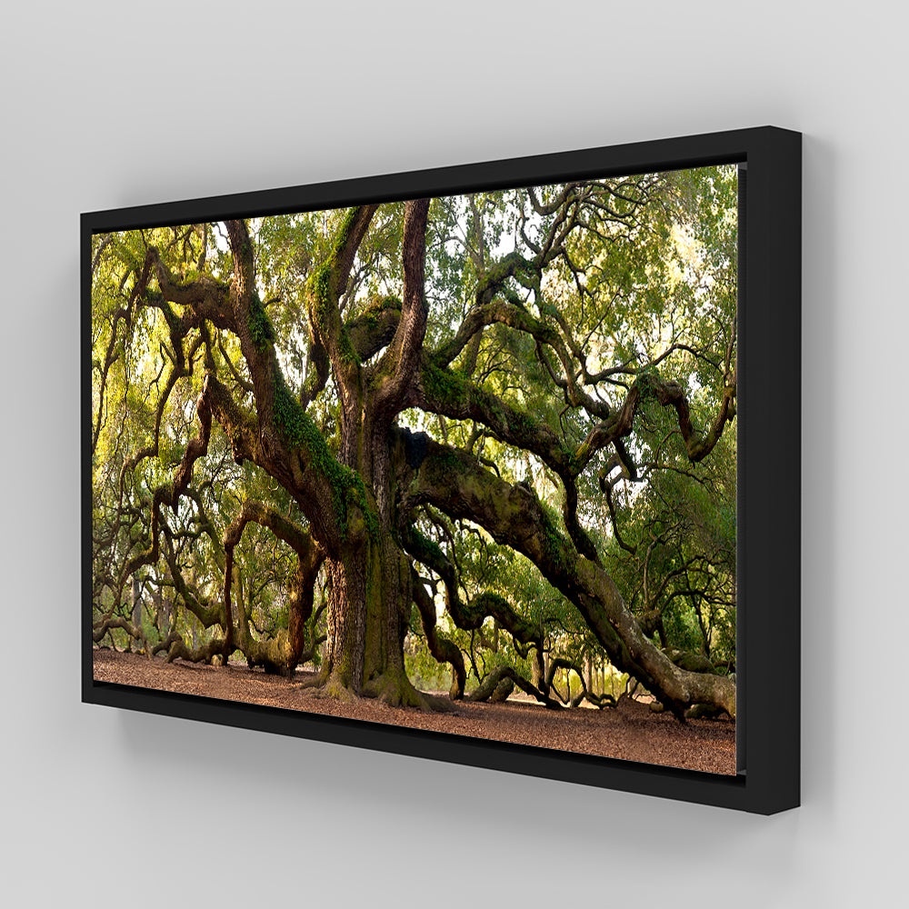 Charleston Angel Oak Panoramic Wall Art