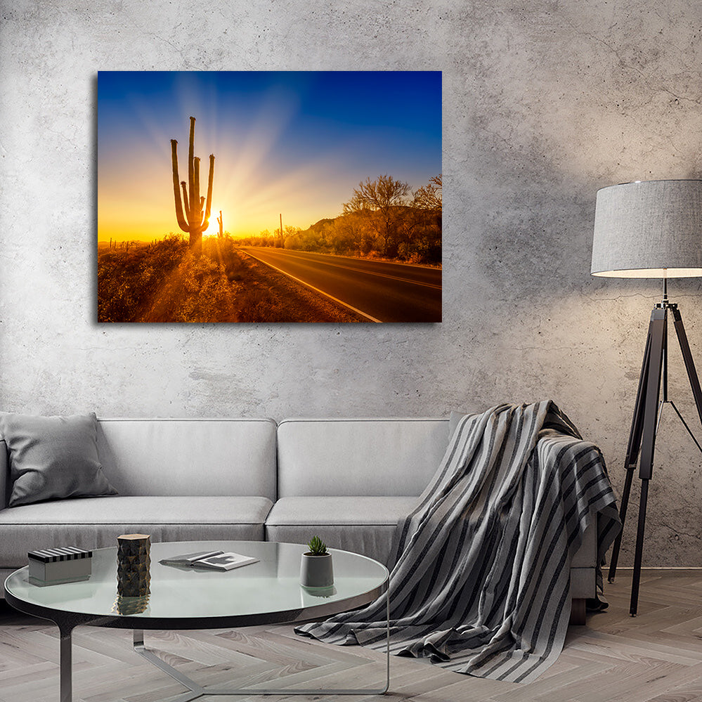 Saguaro National Park Setting Sun Wall Art