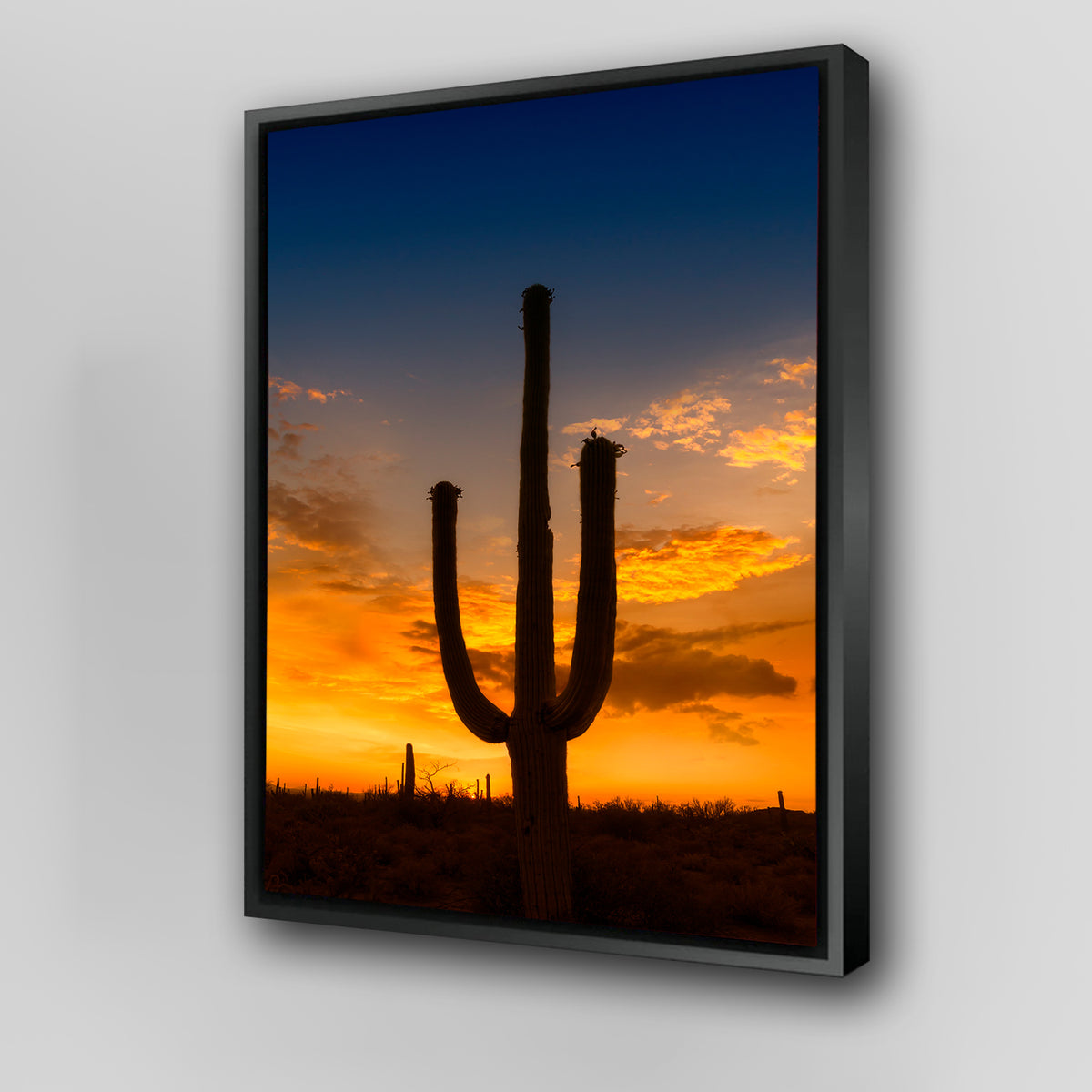 Saguaro National Park Sunset Wall Art