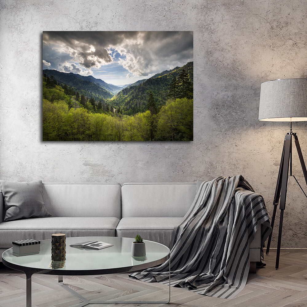Great Smoky Mountains National Park Wall Art