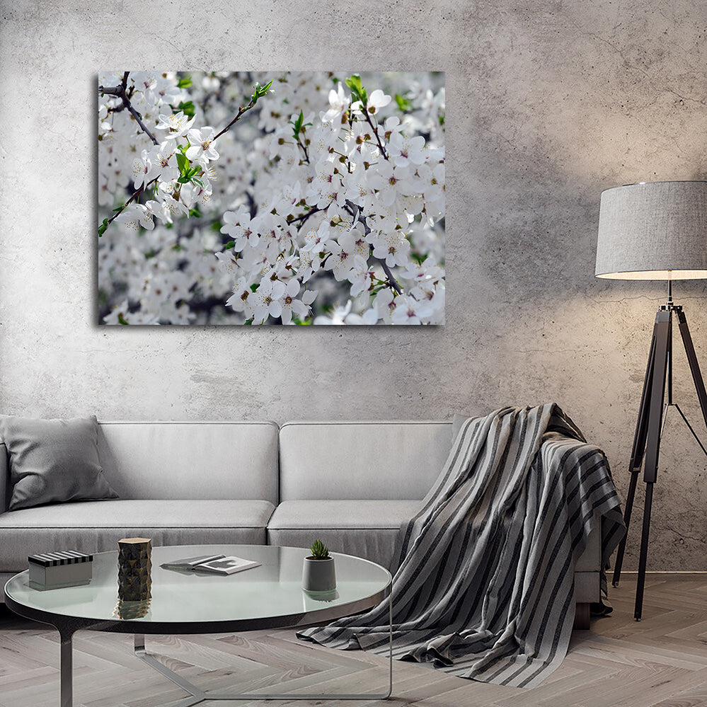 Apple Tree Blossoms Wall Art