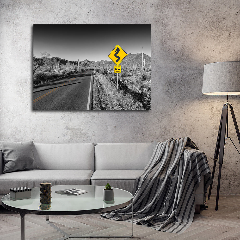 Saguaro National Park Bajada Loop Drive Wall Art